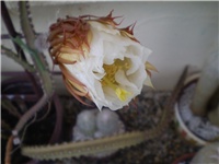 3d36993a-Picture 4706.jpg
